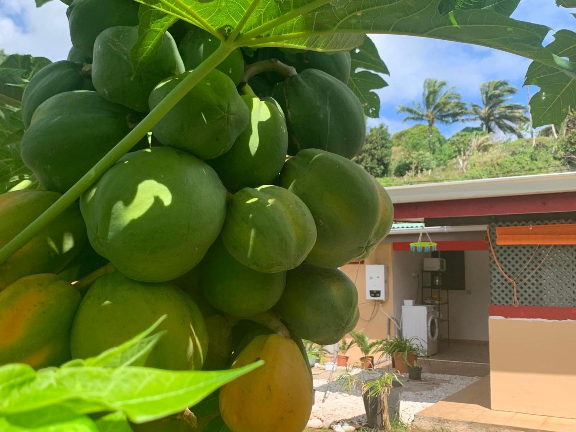 Lemon House Otel Maroe Dış mekan fotoğraf